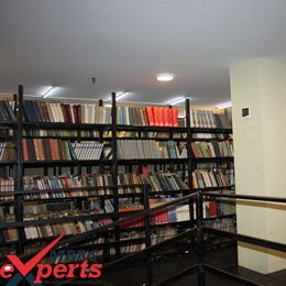 akaki tsereteli state university library