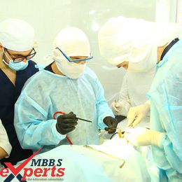 bogomolets national medical university hospital training