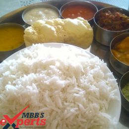 david tvildiani medical university indian food