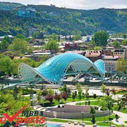 european university tbilisi city