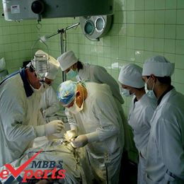 lviv national medical university hospital training