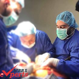 MBBS Admission in Georgia - MBBSExperts