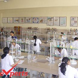 MBBS Admission in India - MBBSExperts