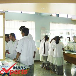 MBBS From India - MBBSExperts