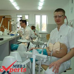 medical university of gdansk practical training - MBBSExperts