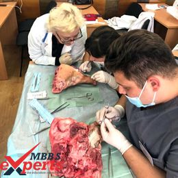 Vitebsk State Medical University Training - MBBSExperts