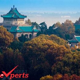 Wuhan University Building - MBBSExperts