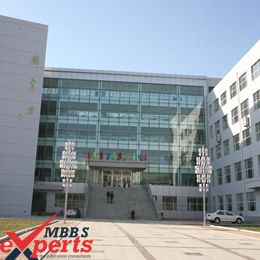 MBBS Experts- Photo Gallery-452